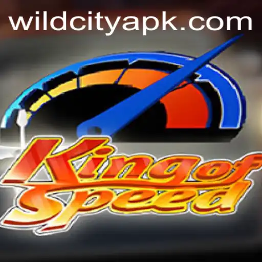 Unveiling KingofSpeed in the Wildcity